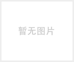 全自动高速模切机